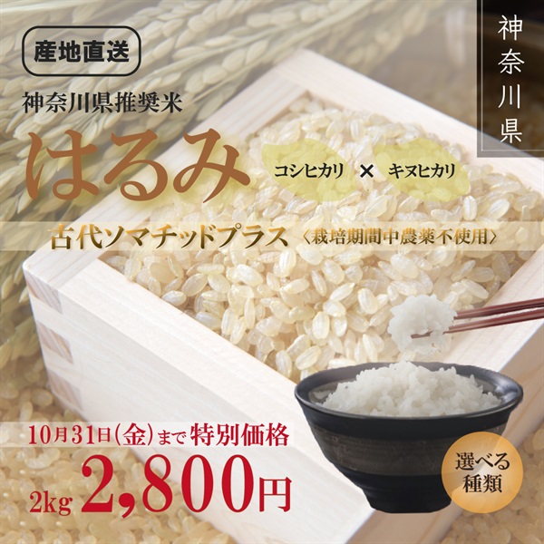 【限定50袋】令和7年度産 葱三郎米 2kg｜神奈川県推奨米【はるみ】 古代ソマチッドプラス〈栽培期間中農薬不使用〉