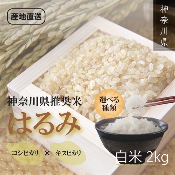 【令和６年新米】葱三郎米　神奈川県推奨米『はるみ』2kg(白米)