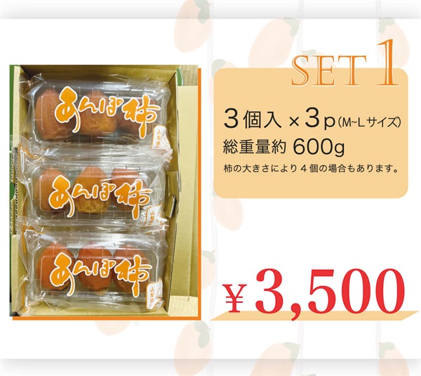 【甲州名産】百目あんぽ柿(セット1【3個入×3P 総重量約600g】)