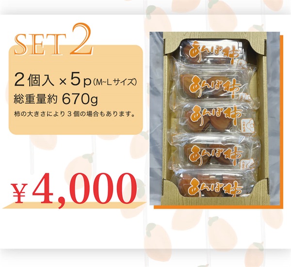 【甲州名産】百目あんぽ柿(セット2【2個入×5P 】-※大きさにより3個入りの場合もあります。)