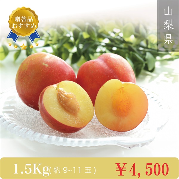 【山梨名産】すもも 夏の天使『サマーエンジェル』(1.5Kg（9~11玉）)