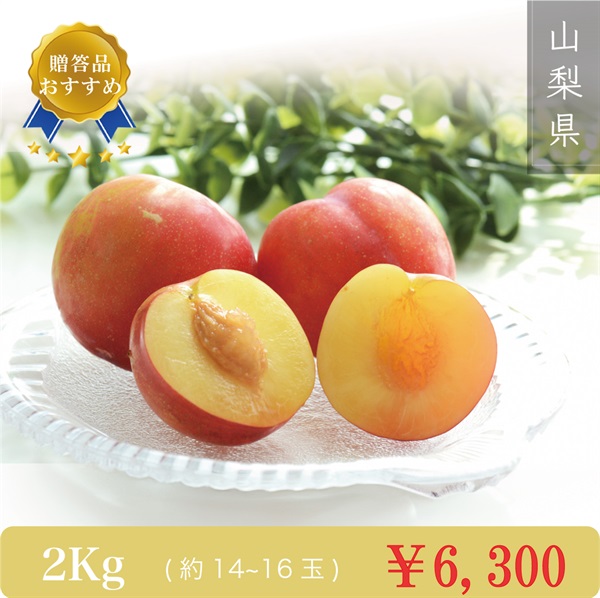【山梨名産】すもも 夏の天使『サマーエンジェル』(2Kg (14~16玉))