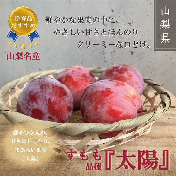 2026年度予約受付開始【山梨名産】すもも「太陽」