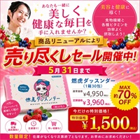 【売り尽くしセール開催中】燃虎ダッスンダー（1箱30包）
