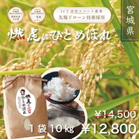 令和７年度 宮城県産 新米 『燃虎にひとめぼれ』10kg 