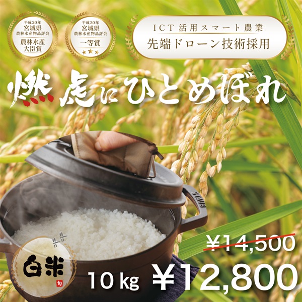 令和７年度 宮城県産 新米 『燃虎にひとめぼれ』10kg (白米)