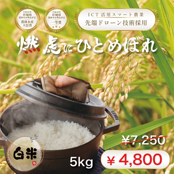 【4月30日まで！Metrond利益還元キャンペーン】令和７年度 宮城県産『燃虎にひとめぼれ』(白米-5Kg)