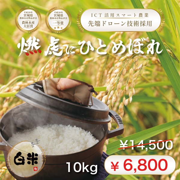 【4月30日まで！Metrond利益還元キャンペーン】令和７年度 宮城県産『燃虎にひとめぼれ』(白米-10Kg)