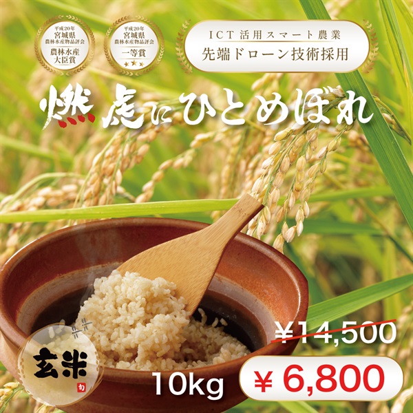 【4月30日まで！Metrond利益還元キャンペーン】令和７年度 宮城県産『燃虎にひとめぼれ』(玄米-10Kg)
