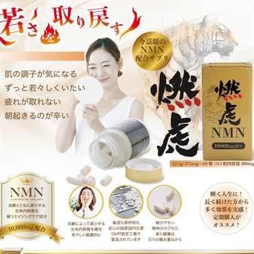 燃虎NMN販促チラシ