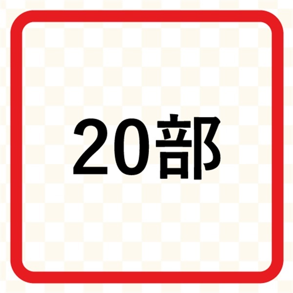 燃虎ダッスンダー販促チラシ(20部)