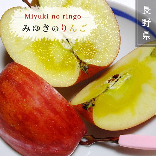【予約販売】長野県産　みゆきのりんご 