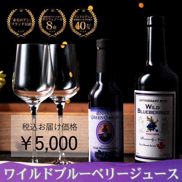 【赤毛のアン公認ブランド】試飲飲み比べセット！ワイルドブルーベリージュース 大瓶1本&小瓶1本