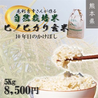 【限定10袋】自然栽培米　ヒノヒカリ玄米5kg