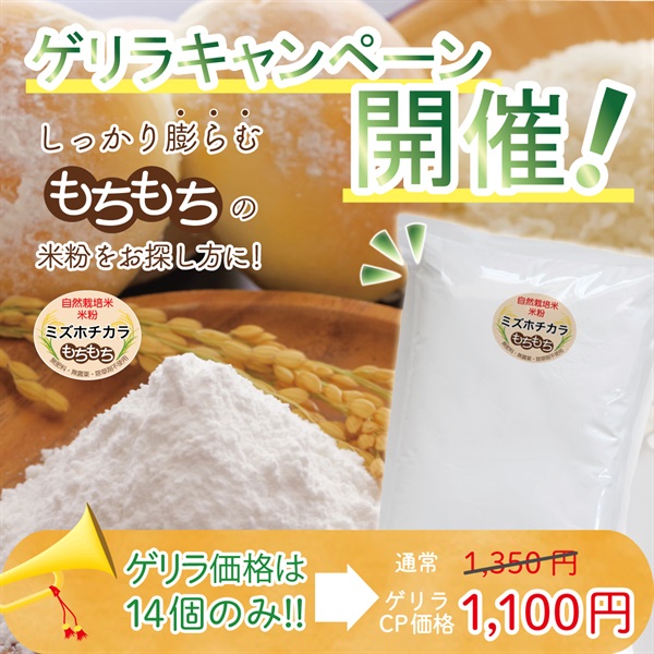年始5％OFF！】【令和6年産】自然栽培「ミズホチカラ」米粉