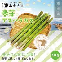 【予約販売受付中！】福岡県産　春芽アスパラガス＜今なら早割特別価格でお買い求めいただけます！＞