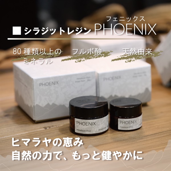 【期間限定 特別価格でご案内いたします！】シラジットレジン PHOENIX(フェニックス)