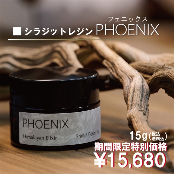 【期間限定 特別価格でご案内いたします！】シラジットレジン PHOENIX(フェニックス)(シラジットレジン PHOENIX 15g)