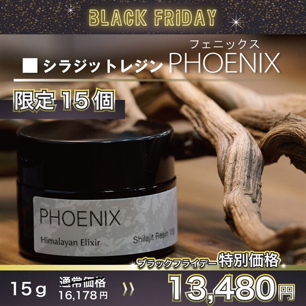 PHOENIX シラジットレジン 15g
