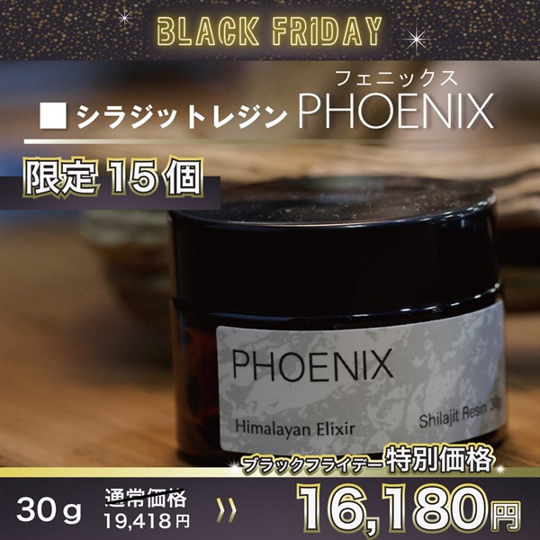 PHOENIX シラジットレジン 30g