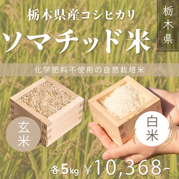 【令和７年度】ソマチッド米　栃木県産コシヒカリ　玄米/白米（5kg）