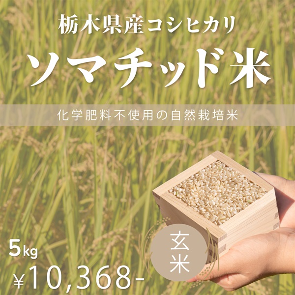 【予約販売】ソマチッド米令和７年度新米　栃木県産コシヒカリ　玄米/白米（5kg）(玄米-5Kg)