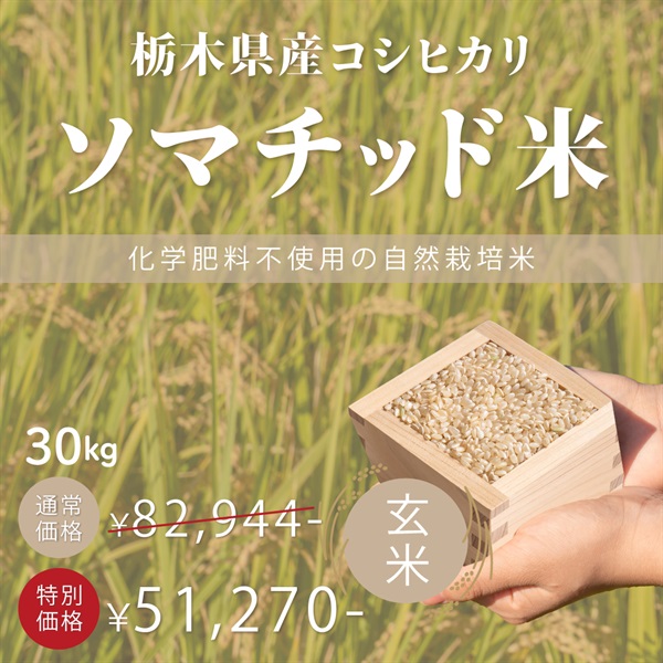 【令和７年度】ソマチッド米　栃木県産コシヒカリ　玄米/白米（5kg/玄米のみ30Kg）(まとめ買いでお得-玄米-30Kg)