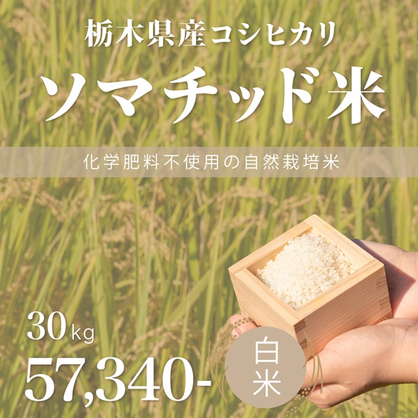 【予約注文】令和８年度 ソマチッド米　栃木県産コシヒカリ　玄米/白米(白米-30kg)
