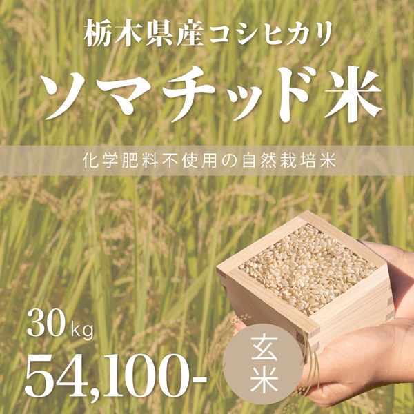 【予約注文】令和８年度 ソマチッド米　栃木県産コシヒカリ　玄米/白米(玄米-30kg)