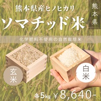 【ソマチッド米】熊本県産ヒノヒカリ　玄米/白米（5kg）