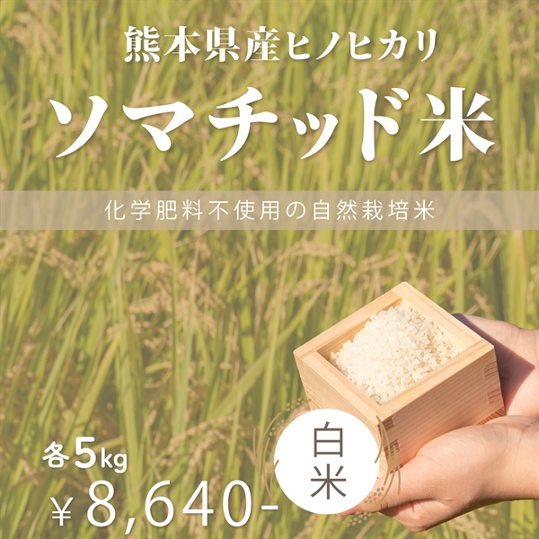 【ソマチッド米】熊本県産ヒノヒカリ　玄米/白米（5kg）(白米-5Kg)