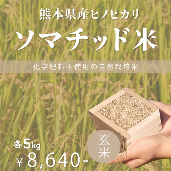 【ソマチッド米】熊本県産ヒノヒカリ　玄米/白米（5kg）(玄米-5Kg)