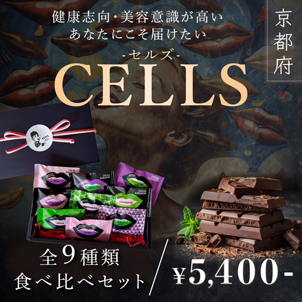 【Vegan Raw Chocolate（ヴィーガンローチョコレート）】全９種類 贅沢食べ比べセット