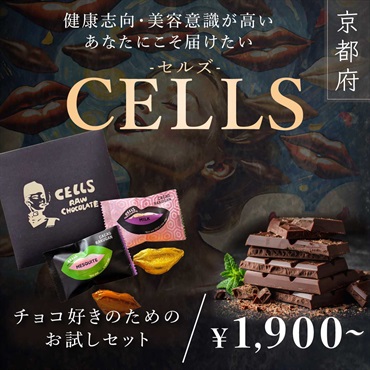 【Vegan Raw Chocolate（ヴィーガンローチョコレート）】チョコ好きのためのお試しセット（ミルク、メスキート）