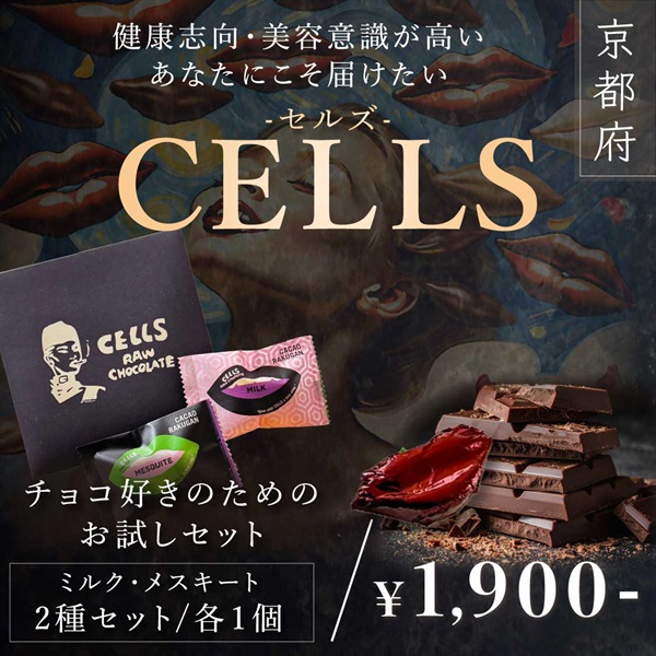 【Vegan Raw Chocolate（ヴィーガンローチョコレート）】チョコ好きのためのお試しセット（ミルク、メスキート）(２種セット（各１個）)