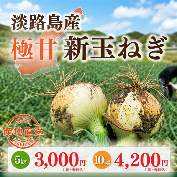 淡路島産 極あま新玉ねぎ