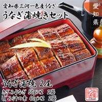 愛知県三河一色産うなぎ蒲焼きセット