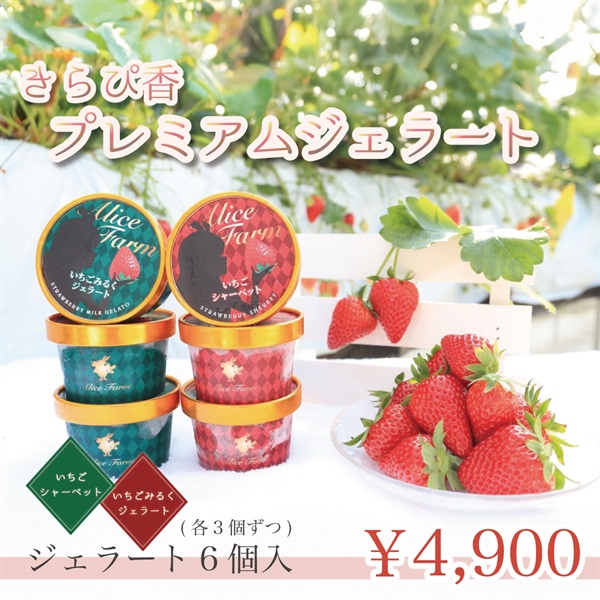 渡瀬のきらぴ香プレミアムジェラート＜6個/12個/+冷凍イチゴ＞(ジェラート6個入り)