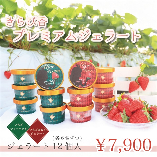 渡瀬のきらぴ香プレミアムジェラート＜6個/12個/+冷凍イチゴ＞(ジェラート6個入り+冷凍イチゴ)