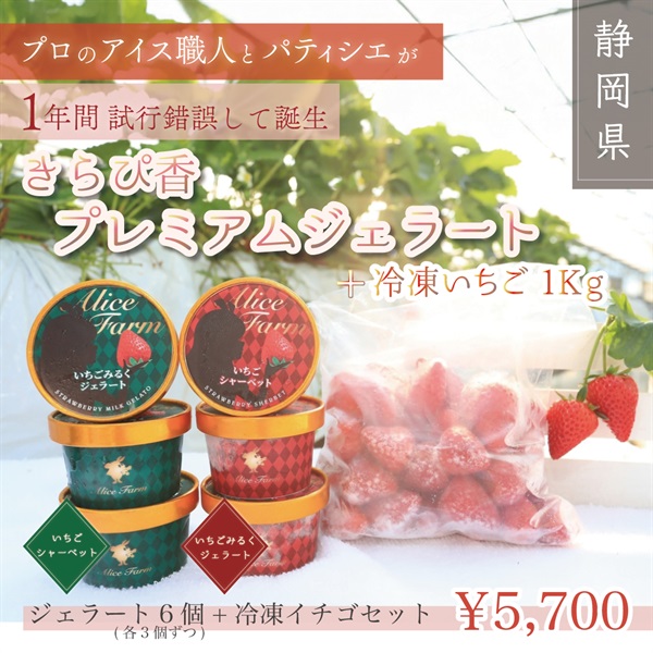 渡瀬のきらぴ香プレミアムジェラート＜6個/12個/+冷凍イチゴ＞(ジェラート12個入り)