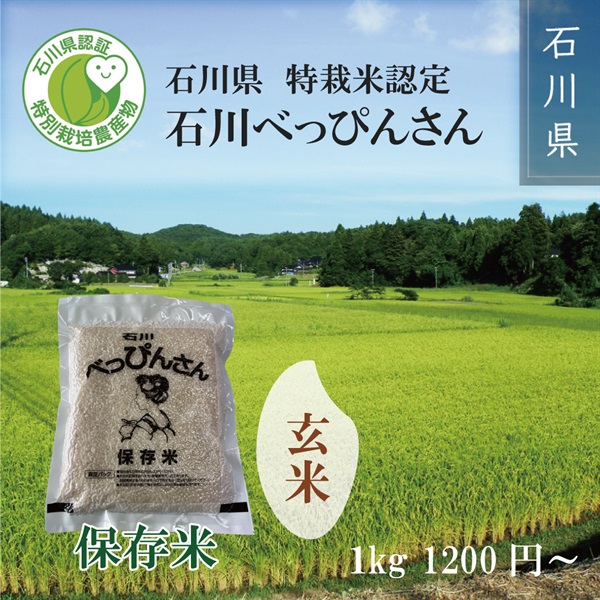 【予約注文】令和6年度新米　特栽米認定 石川べっぴんさん　保存米 1kg～(玄米)