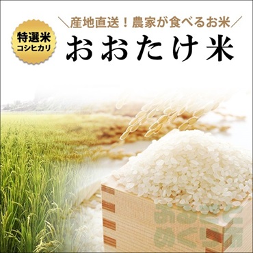 【完売】おおたけ米（白米or玄米） 5kg×2袋　計10kg