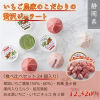 【Metrond限定】いちご農家フジコさんのこだわり贅沢ジェラート7種24個セット