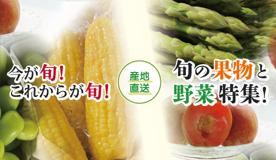 旬の産地直送 野菜果物特集